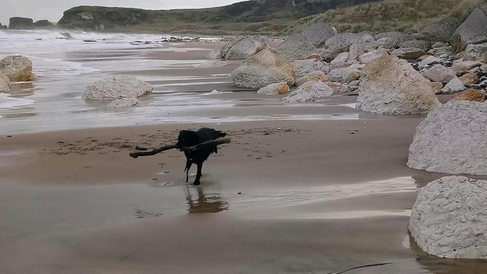 Dunseverick Ramblers Rest Bushmills Zewnętrze zdjęcie