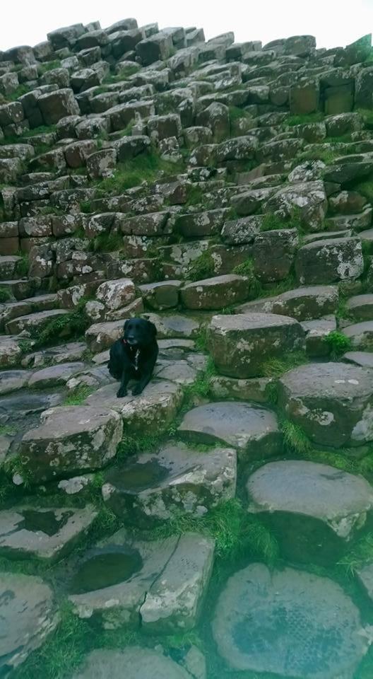 Dunseverick Ramblers Rest Bushmills Zewnętrze zdjęcie